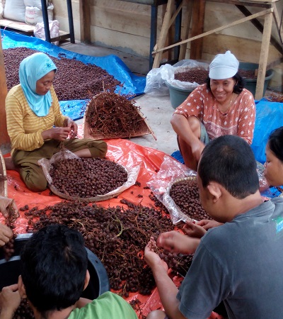 Sorting and Peeling of the Raw Materials